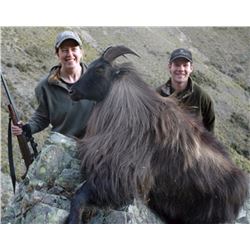 4-day New Zealand Himalayan Bull Tahr Hunt for One Hunter and One Observer