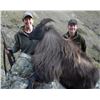 Image 1 : 4-day New Zealand Himalayan Bull Tahr Hunt for One Hunter and One Observer