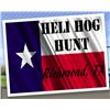 Image 1 : 2-hour Texas Helicopter Hog Hunt for Two Shooters
