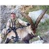 Image 1 : 6-day Spanish Big Game Hunt (Hunter's Choice) for One Hunter and One Observer -- $5000 Credit Toward