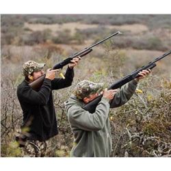 4-day/3-night Argentina Dove Hunt for Four Shooters