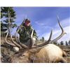 Image 1 : 9-day Montana Elk and Deer (Mule or Whitetail) Combo Hunt for One Hunter