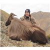 5 1/2-day/5-night New Zealand Himalayan Bull Tahr Hunt for One Hunter and One Observer