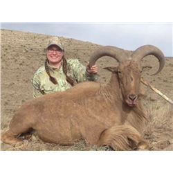 5-day New Mexico Aoudad Rifle Hunt for Two Hunters