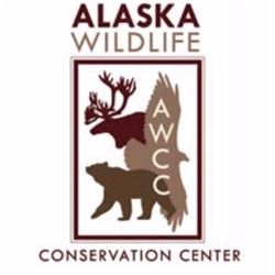 Alaska Wildlife Conservation Center Tour for 10 People