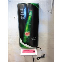 Electric Canada Dry display sign