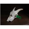 Image 1 : Small Goat Skull