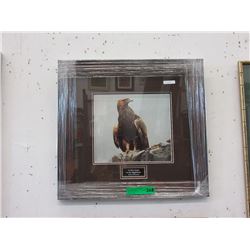 Robert Bateman print "Golden Eagle in Highlands"