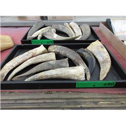 8 Goat horns