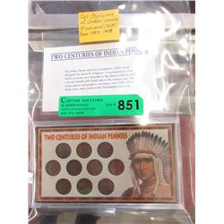 10 USA Indian Pennies