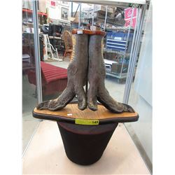 Vintage mounted ostrich feet