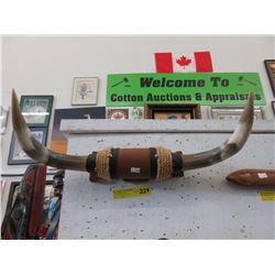 Mounted steer horns
