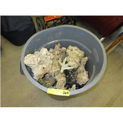 Container full of coral
