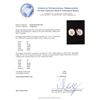 Image 3 : 1.42ctw Diamond Solitaire Earrings - 14KT White Gold