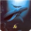 Image 2 : Innocent Age/Dolphin Serenity by Wyland