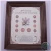 Image 1 : Framed 1903-1999 20th Century Canadian Penny Collection. The dates within the frame include: 1903, 1