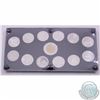 Image 1 : 2000 Canada 13-coin set in acrylic display. This set contains all 12 commemorative 25-cent issued in