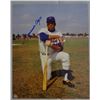 Image 2 : 5 - AUTOGRAPHED 8x10 PHOTOS, BOBBY DOERR, BOB LEMON, MONTE IRVIN, GARY CARTER