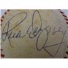 Image 4 : 1997 SPRING TRAINING AUTOGRAPHED BASEBALL - RICK DEMPSEY & AL DARK AUTO  BALL