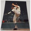 Image 2 : 5 - AUTOGRAPHED BASEBALL PHOTO'S, HANK BAUER, BUCK LEONARD, VIDA BLUE, DENNY