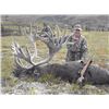 Image 1 : 7-Day Alaska Caribou hunt for 1 hunter