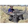 Image 1 : 5 Day Australian bronze medal water buffalo hunt for 1 hunter