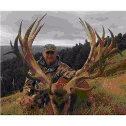 5-Day Silver Hunting package for Red Stag, Bull Tahr and Buck Chamois     for 1 hunter