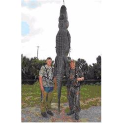 Florida Alligator hunt for one hunter
