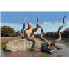 Image 1 : 10-Day South Africa Safari for 2 hunters 2 X 1