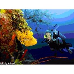 6-Day, 5-night Belize Fishing & Diving Trip