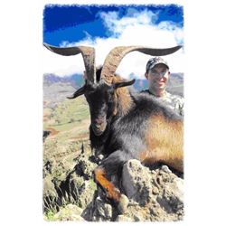 1-day Trophy "Hawaiian" Goat Hunt for 1 hunter