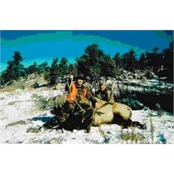 3-Day Antelope Hunt in Cheyenne, Wyoming for 1 hunter