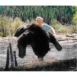 6-Day guided Montana Spring or Fall Black Bear and Turkey Hunt for 1 hunter