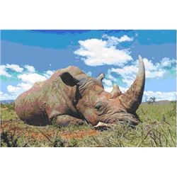 5-Day Vita Dart of a White Rhino for 1 hunter and 1 Observer in South Africa