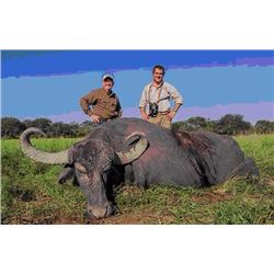 6-Day Asian Water Buffalo, Black Buck Antelope and Dove hunt for 2 hunters