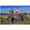 Image 1 : 6-Day Asian Water Buffalo, Black Buck Antelope and Dove hunt for 2 hunters