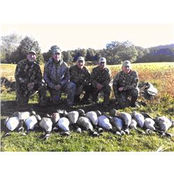 1-Day Goose hunt for 4 hunters