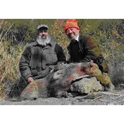 7-Day Big Game hunt for 1 hunter for 1 wild boar