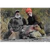 Image 1 : 7-Day Big Game hunt for 1 hunter for 1 wild boar