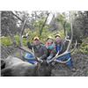 Image 1 : 5-day 2X1 Colorado Elk hunt for 1 hunter and 1 Observer: