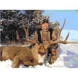 5-Day Alberta Mule Deer/Whitetail Archery Combo Hunt for 1 hunter