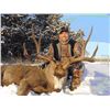 Image 1 : 5-Day Alberta Mule Deer/Whitetail Archery Combo Hunt for 1 hunter