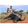 Image 1 : 7-Day Cape Buffalo hunt for 1 hunter