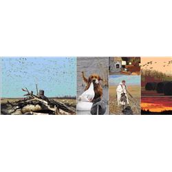 3-Day Saskatchewan Duck and Goose hunt for 2 hunters