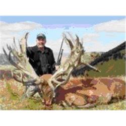 3-Day Red Stag 340 - 360 SCI Hunt for one hunter