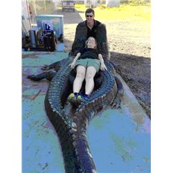 2-Day Management Gator Hunt (Under 10 ft.) for 1 hunter