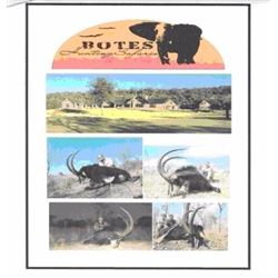 5-Day African Plains Game for 1 hunter