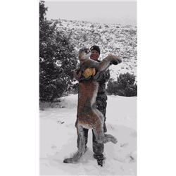 Colorado Mountain Lion Hunt