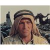 Image 1 : Peter O’Toole