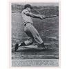Image 1 : Roger Maris